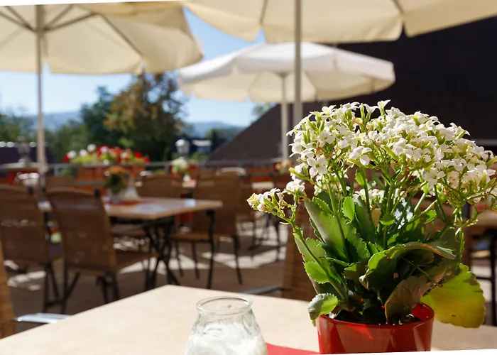 بيت ريفي Landgasthof Baeren كيشتزارتن