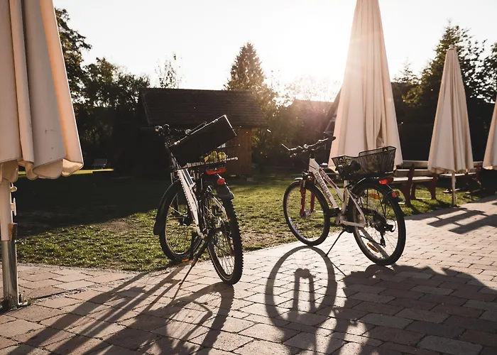 بيت ريفي Landgasthof Baeren 5*